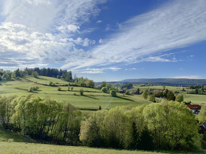 Umgebung im Sommer